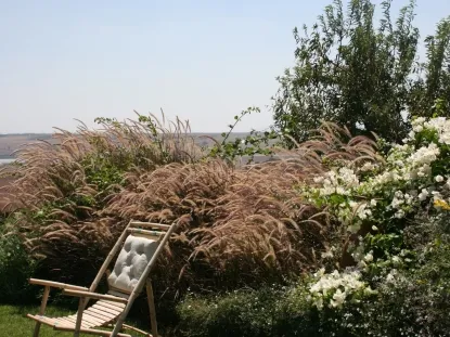 גינות לגלריה 22